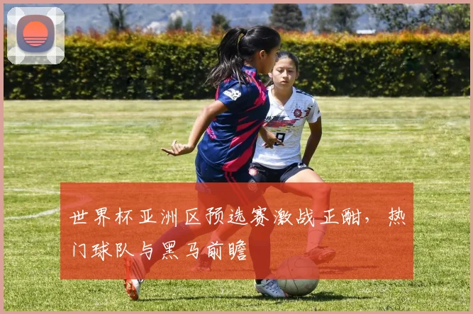 世界杯亚洲区预选赛激战正酣，热门球队与黑马前瞻